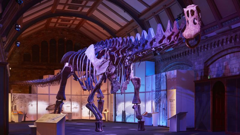 Featured image for "Massive Titanosaur Unveiled in European Museum Debut"
