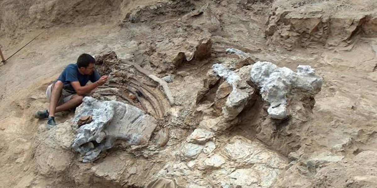 Unearthing a Colossal and Unusual New Dinosaur: A Key Puzzle Piece in Evolution