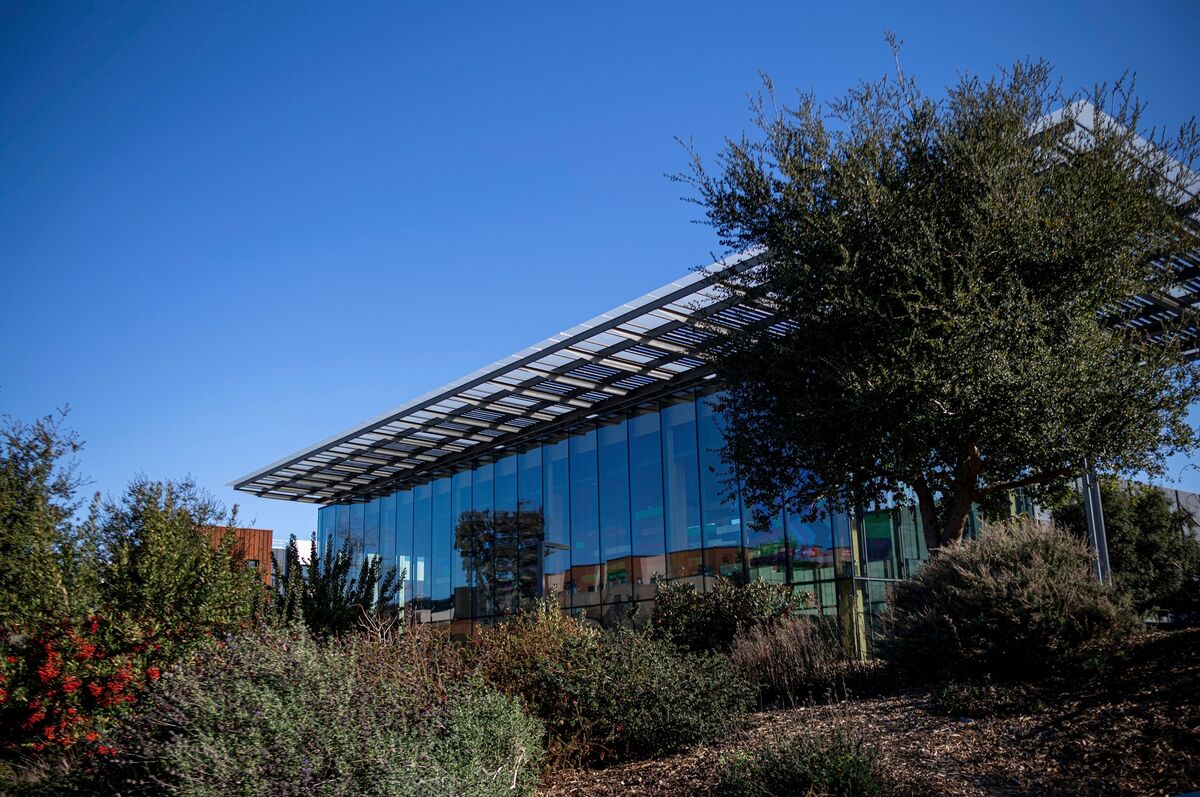Microsoft Engineer Dies at 35 on Silicon Valley Campus