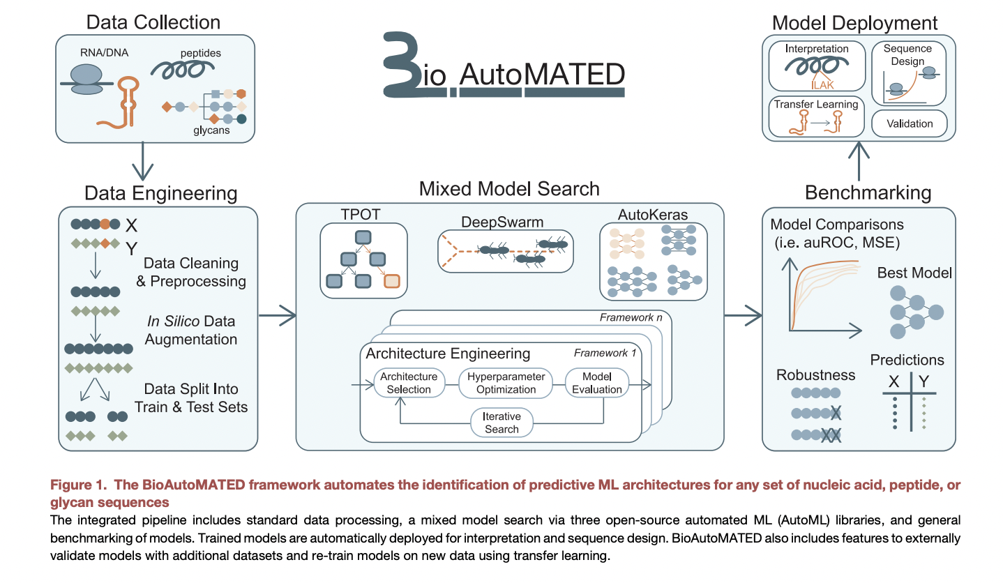 Revolutionizing Biology Research with Automated Machine Learning