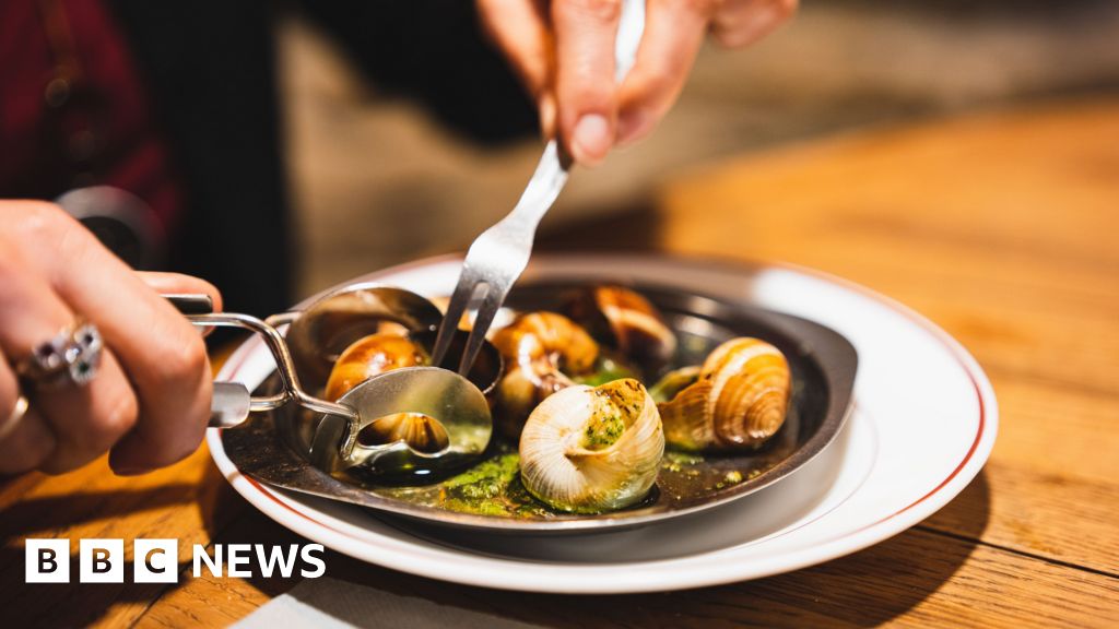 Featured image for French Farm Loses €90,000 Worth of Escargot Snails in Theft