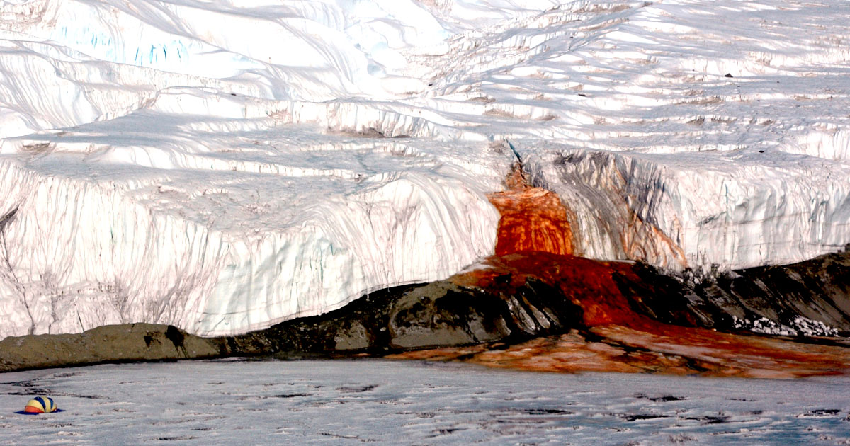 Featured image for "Unexplained Phenomenon: Glaciers Found Oozing Mysterious Red Fluid"