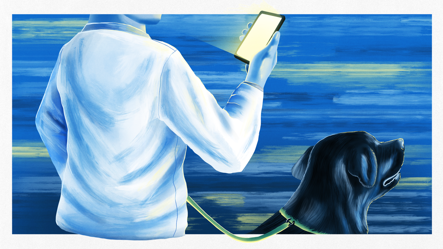 "Key Updates for Tuesday: South Korean Opposition Leader Stabbed"