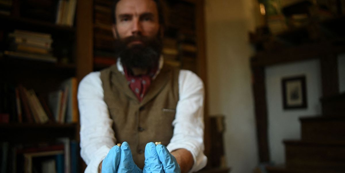 Featured image for Neanderthal DNA Sequencing Changes Human History