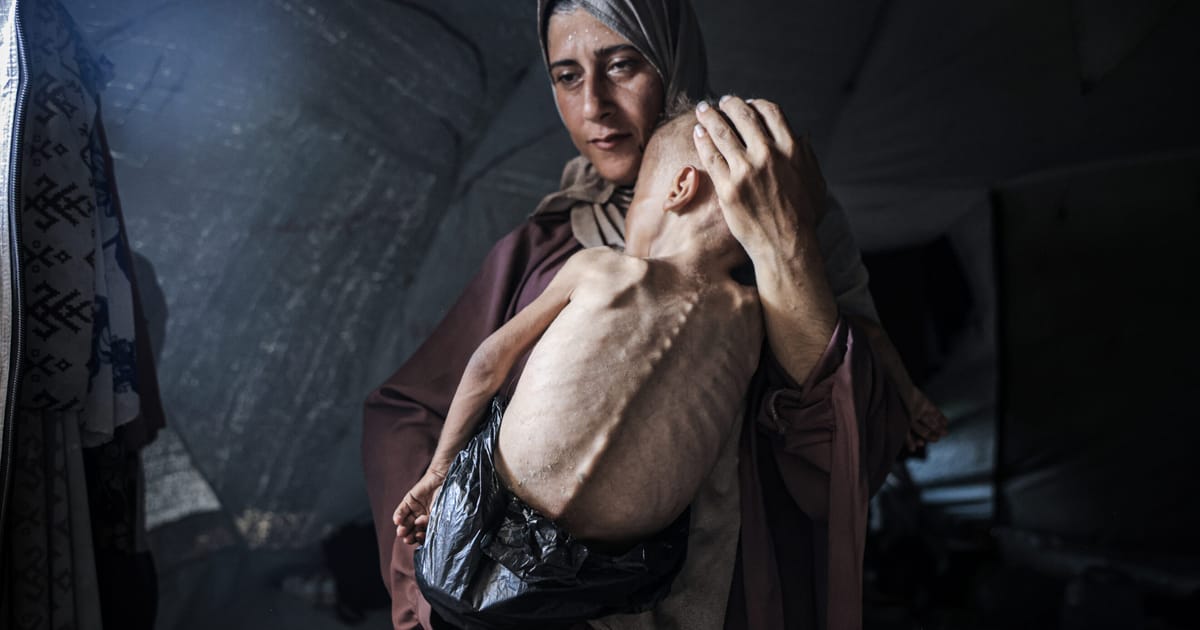 Featured image for Global Calls Mount for Ceasefire Amid Gaza Crisis