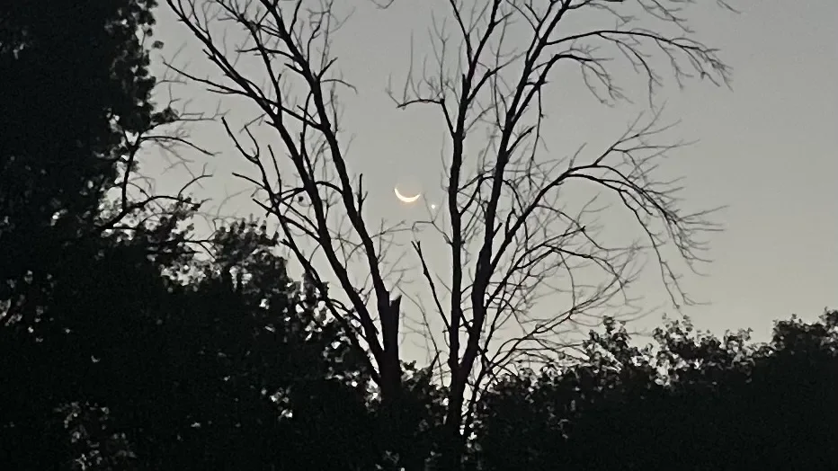 Featured image for Upcoming Celestial Events: Moon, Venus, and Planets Align for Stunning Conjunctions
