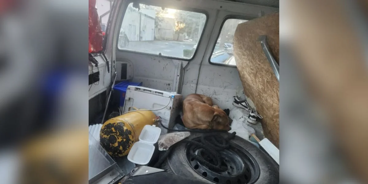 Featured image for Restaurant Worker Finds Trapped Person in Abandoned Van