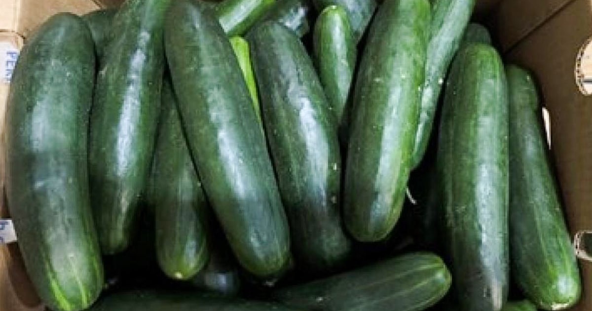 Nationwide Cucumber Recall Due to Salmonella Outbreak