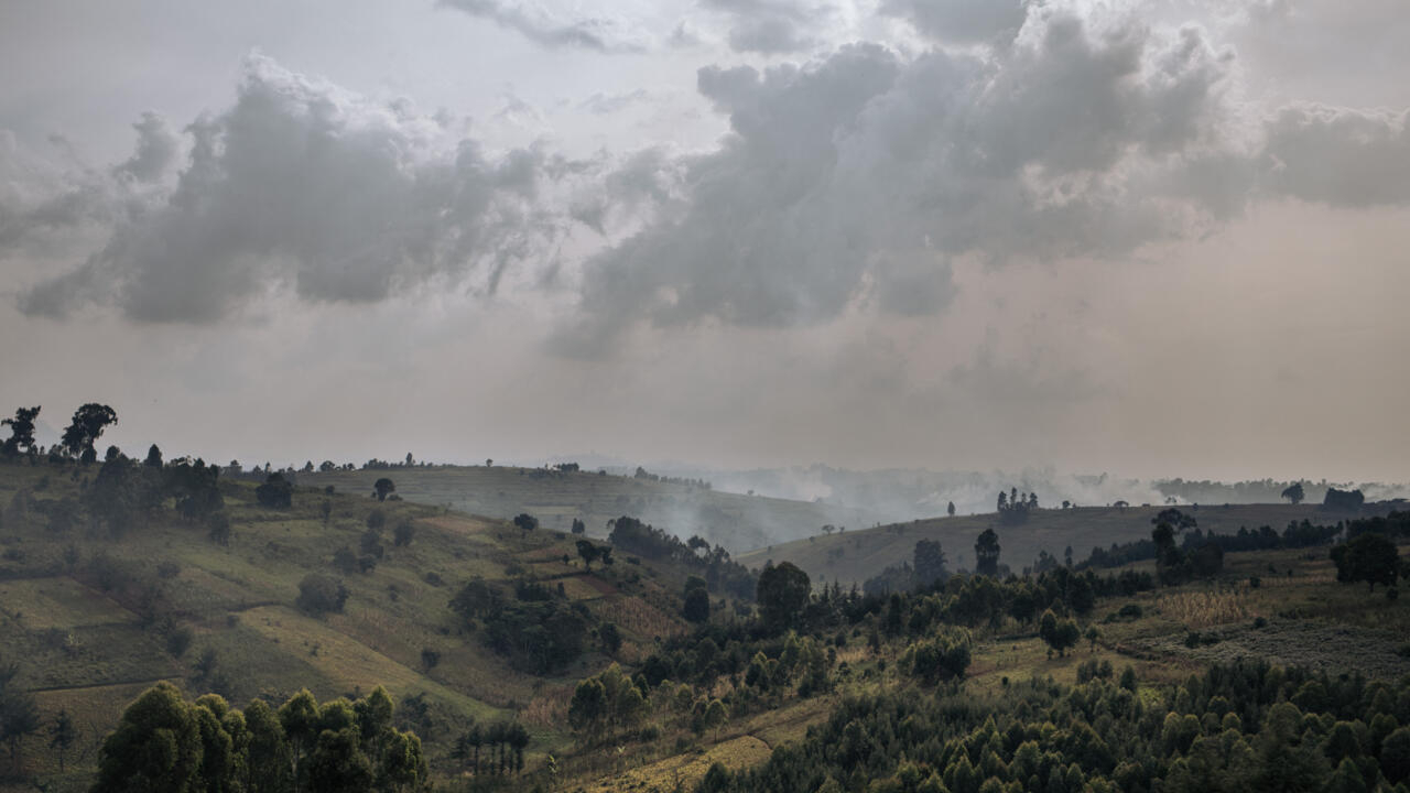 Militia kills 17 hostages in DR Congo