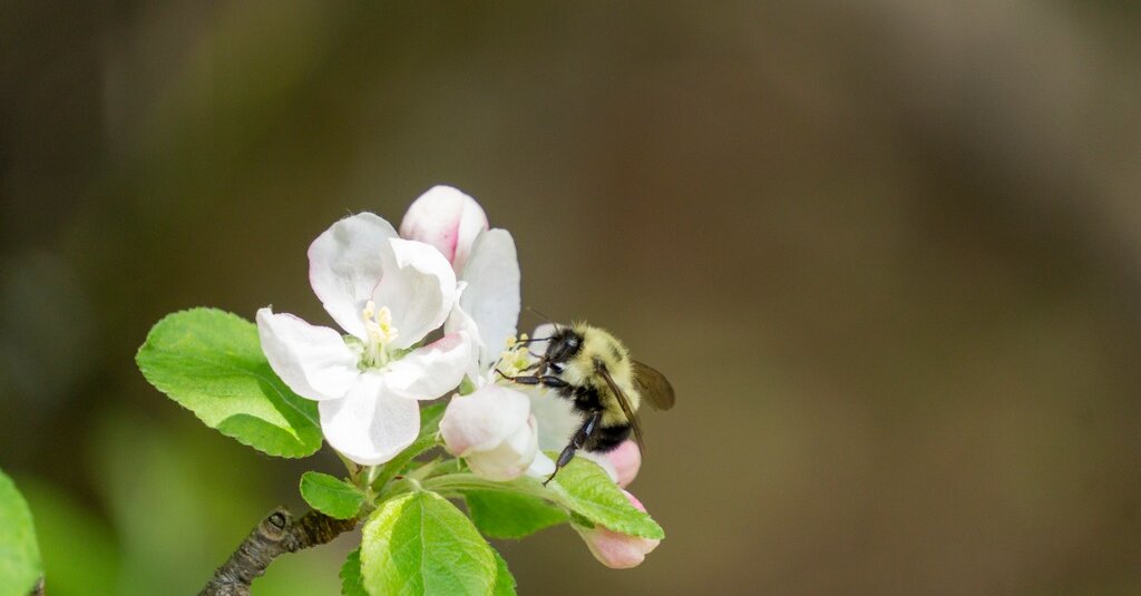 Featured image for "Winners and Words: December 4, 2023 Spelling Bee Answers"