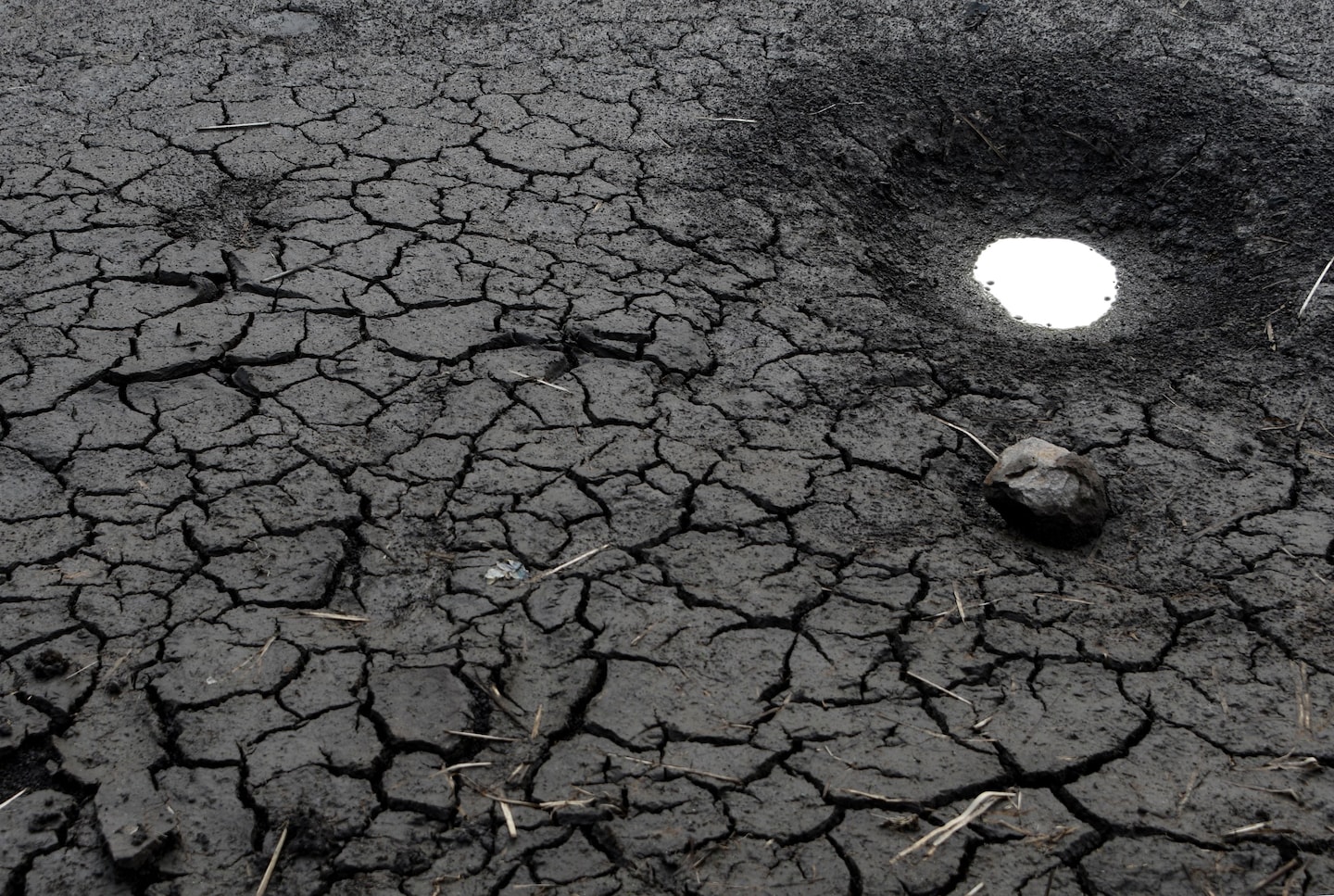 Global Study Identifies Regions Most Vulnerable to Heat Waves.