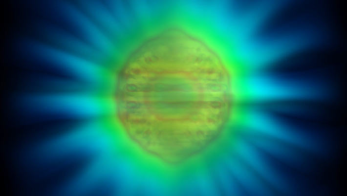 Featured image for Physicists Reveal Exact Shape of a Single Photon