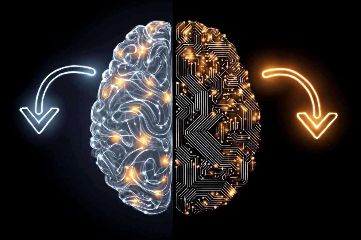 Study Shows Human and AI Learning Processes Are More Similar Than Different