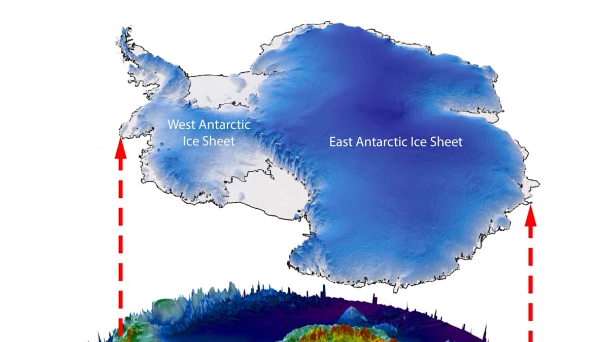 Featured image for Lost Ancient Forests and Rivers Unearthed in Antarctica