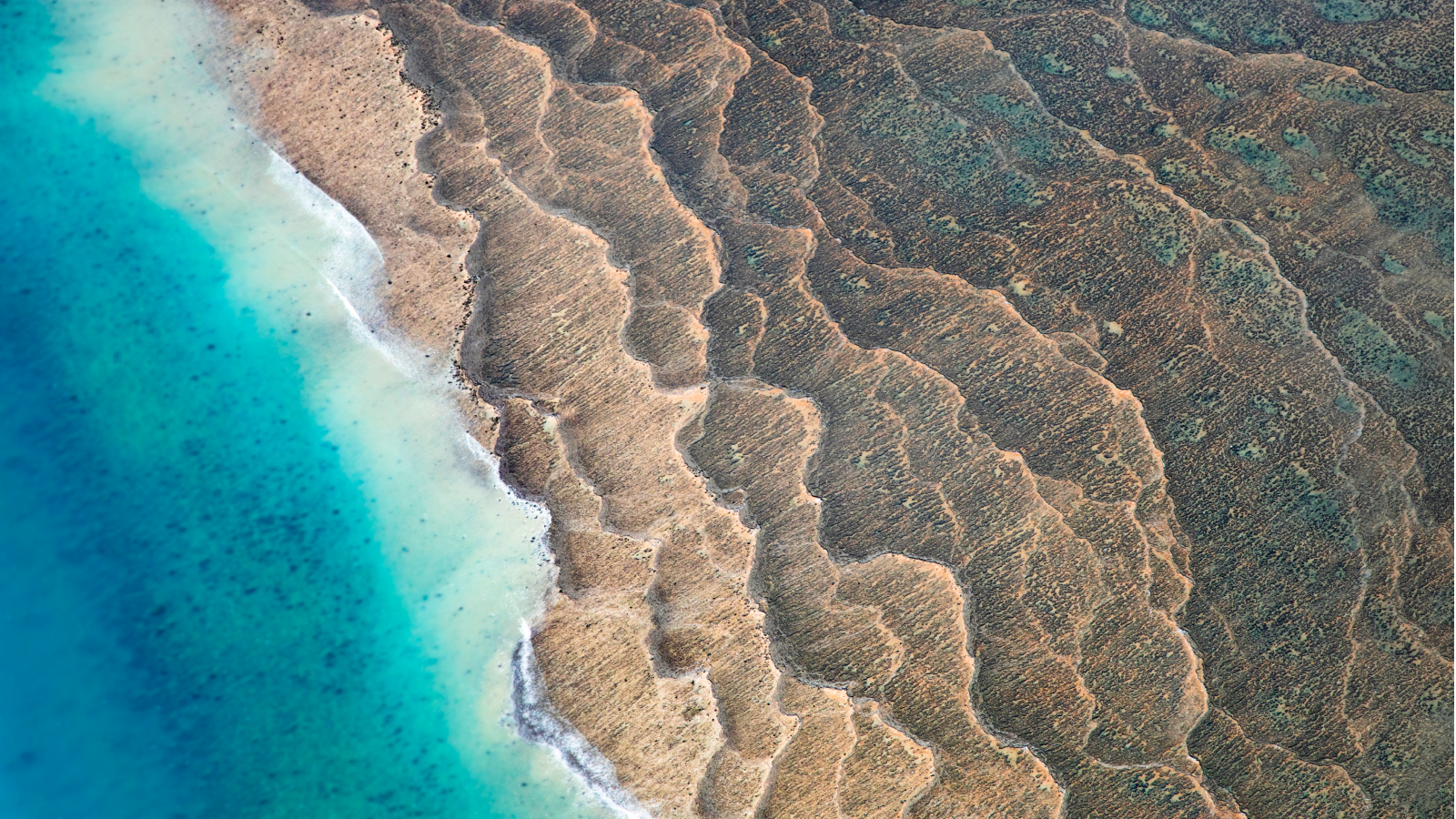 Featured image for Ancient Nuna breakup fostered complex life development, study reveals