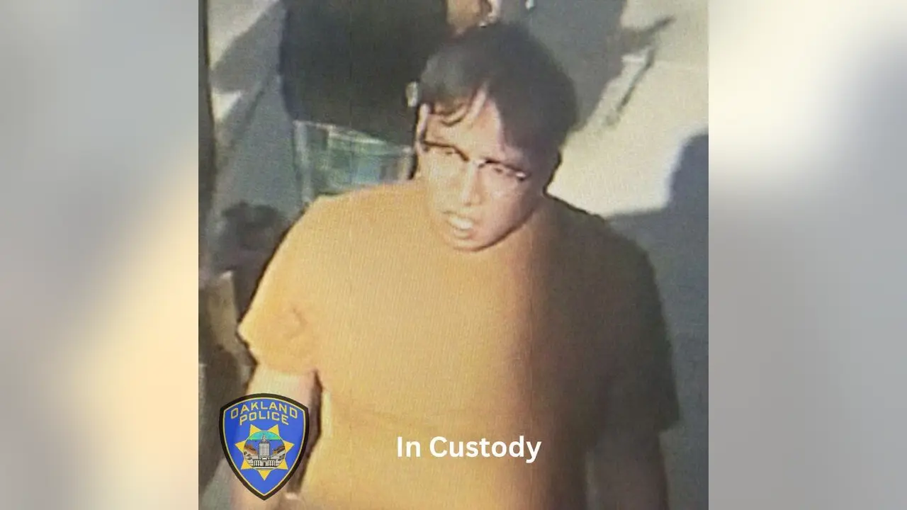 Featured image for "Chicago Arrest: Suspect Captured in Oakland Flower Delivery Homicide"