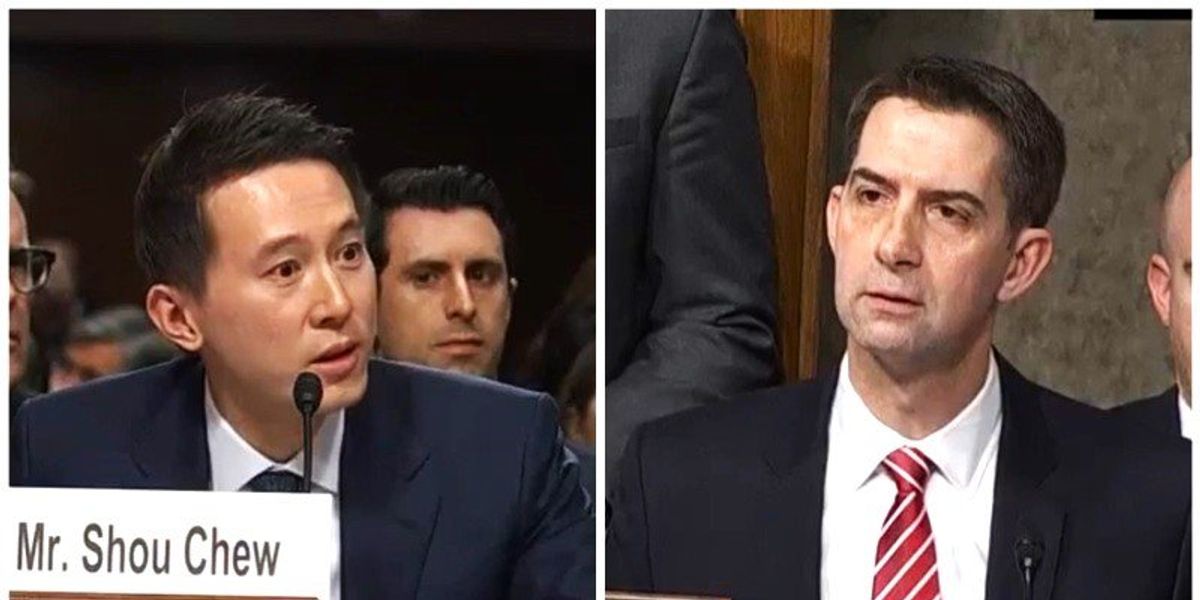 GOP Senator's Xenophobic Attacks on Singaporean TikTok CEO Spark Outrage