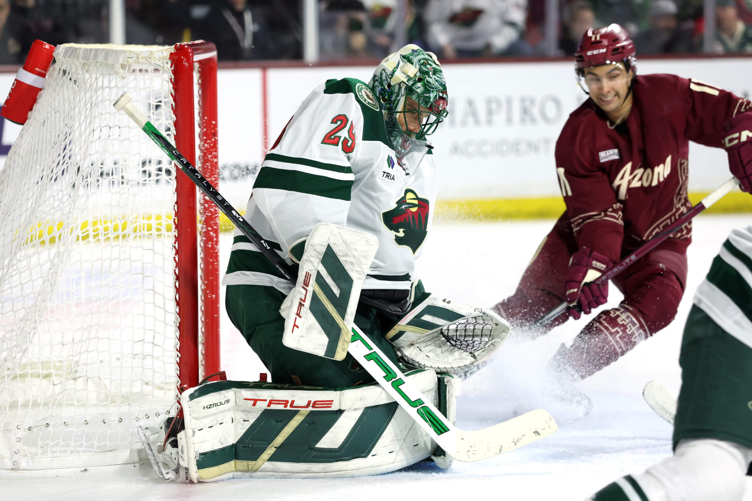 Featured image for "Wild Dominate Coyotes 5-2 with Fleury's Stellar Performance"