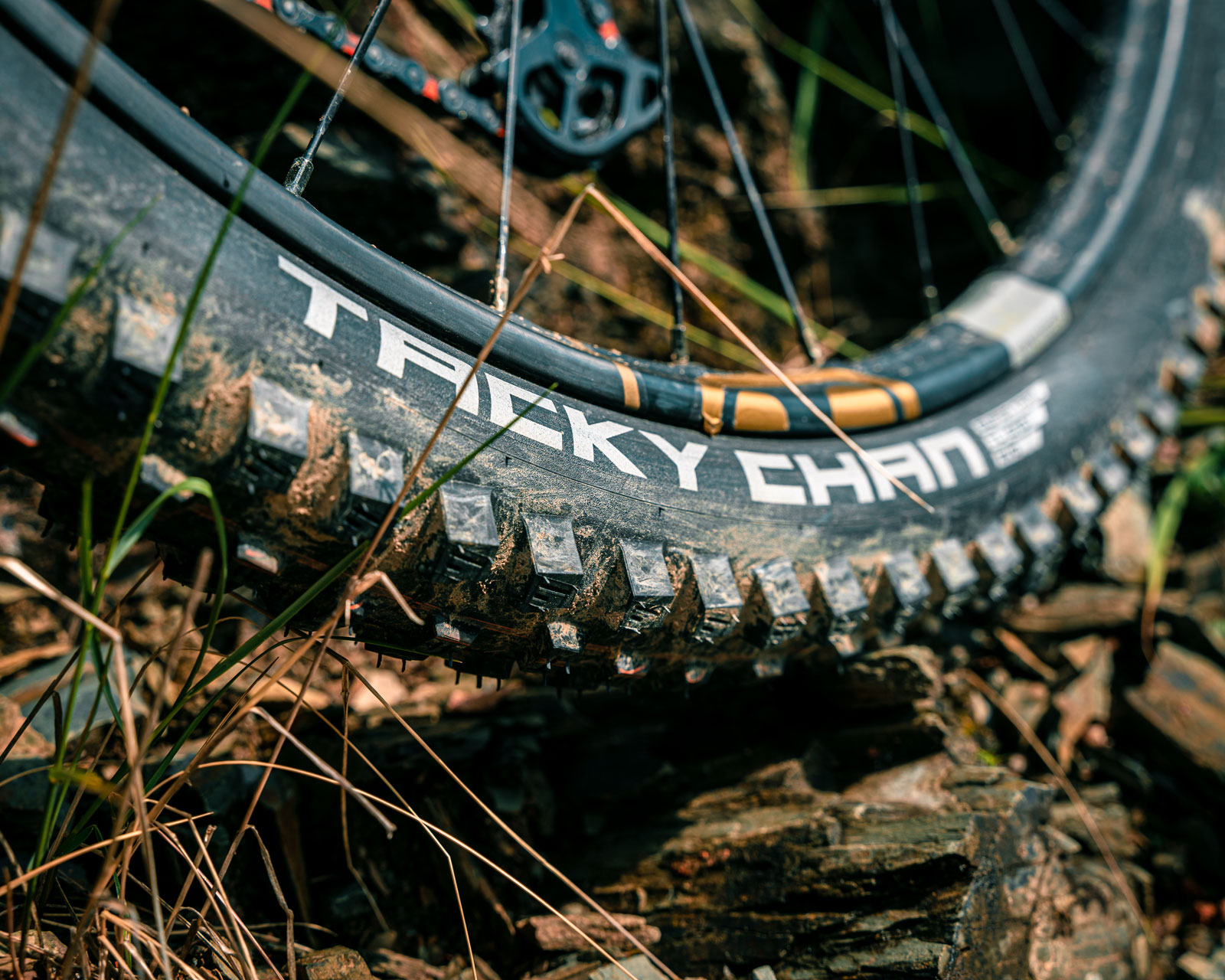 Featured image for Schwalbe's Tacky Chan DH Tire: Designed for Racing Success.
