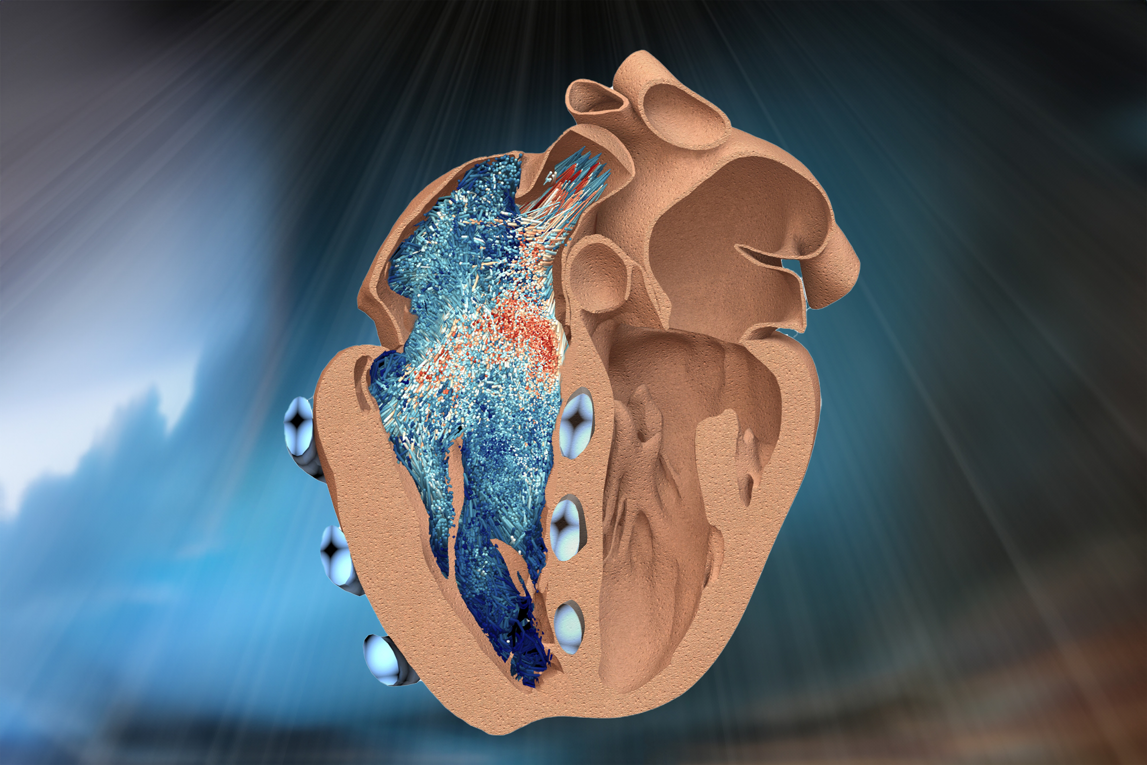 "MIT engineers develop biohybrid robotic replica of the heart's right chamber"