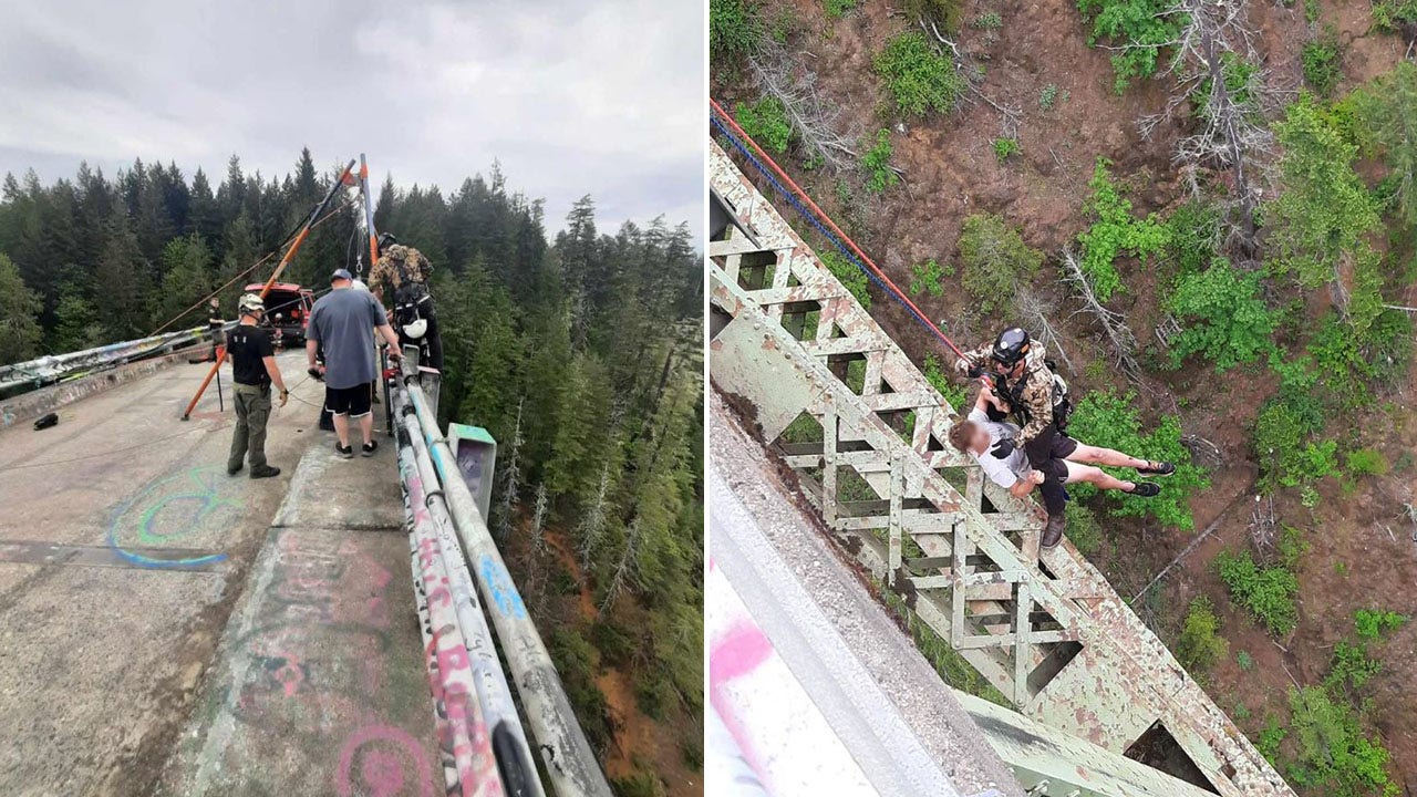 Teen Miraculously Survives 400-Foot Fall Near Washington's High Steel Bridge