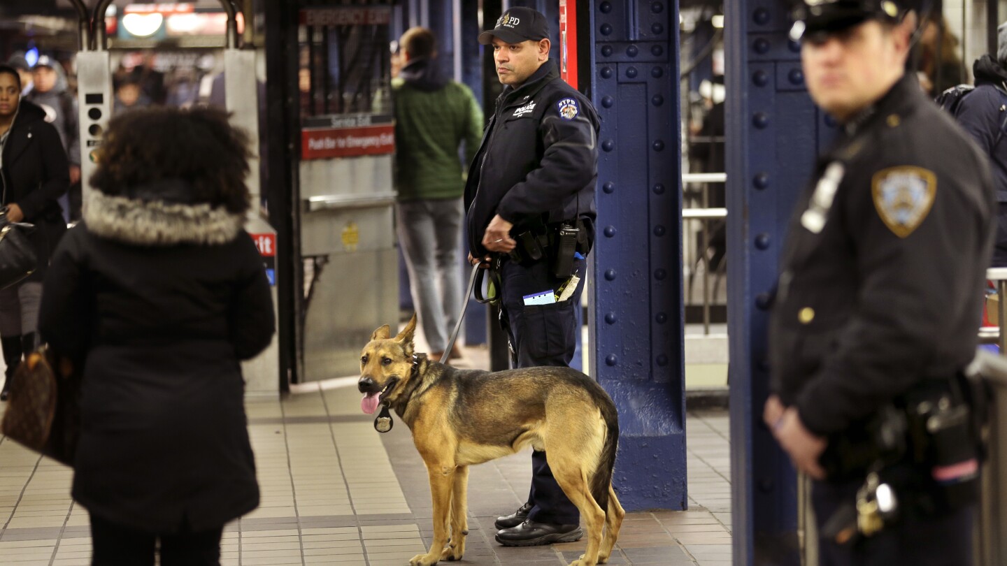 Featured image for "NYPD Deploys 800 More Officers to Combat Subway Fare Evasion"