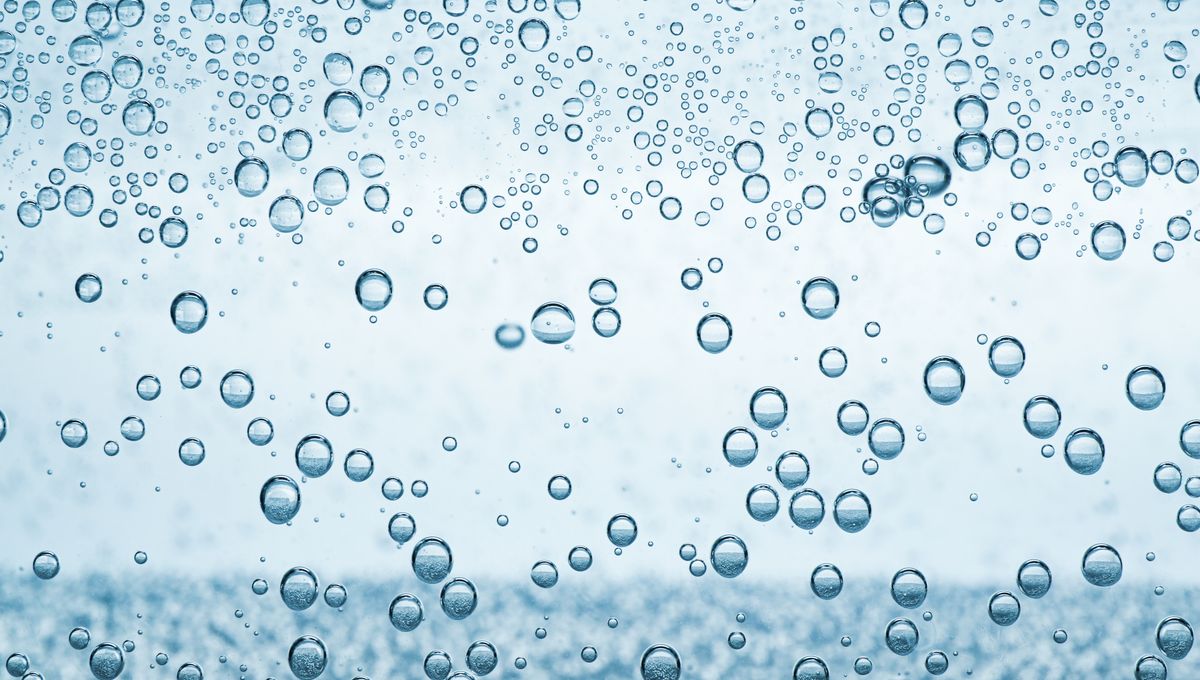 Featured image for Ig Nobel 'Butt Breathing' Technique Advances Toward Medical Use