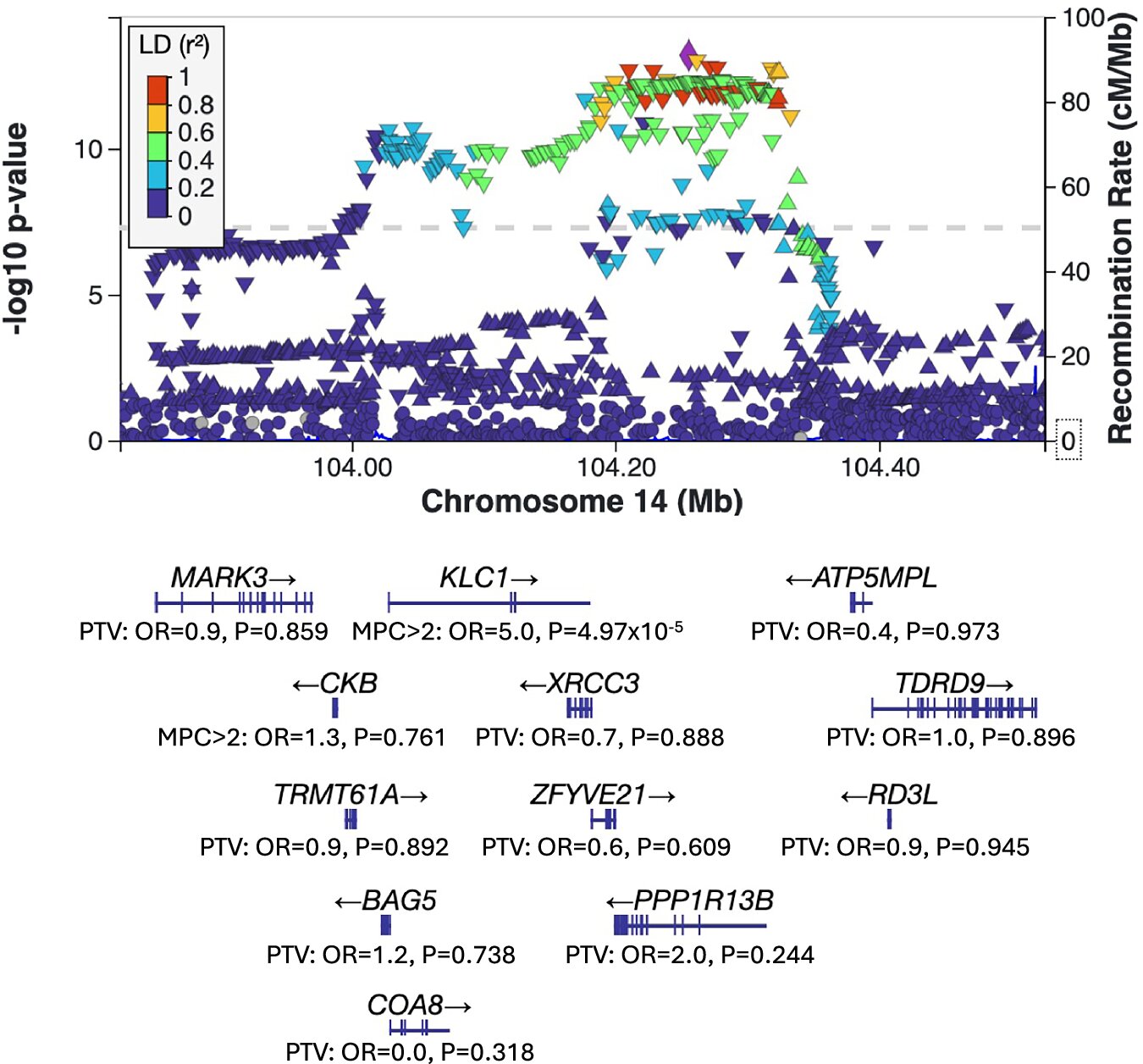 Featured image for Scientists Identify Eight New Genes Linked to Schizophrenia