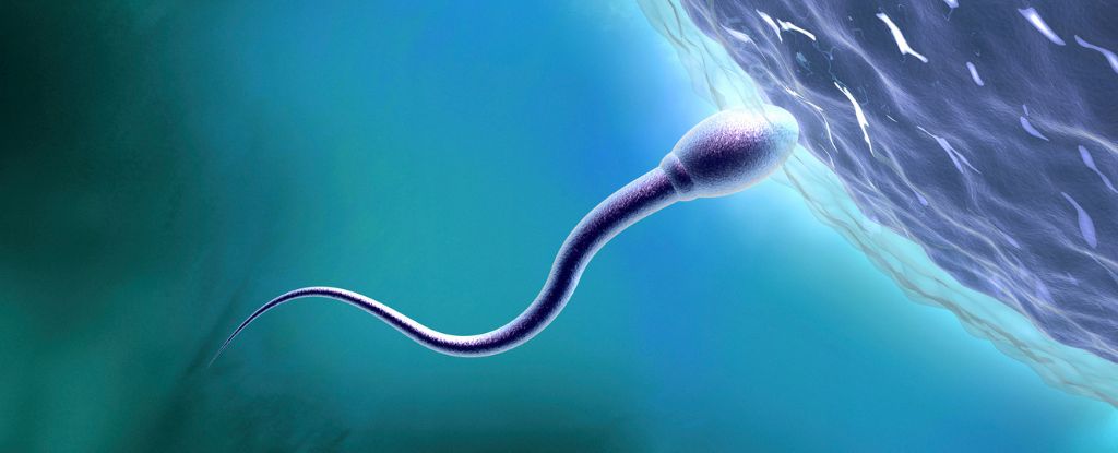 "Unveiling the Mystery: The Truth Behind Inherited Mitochondria"