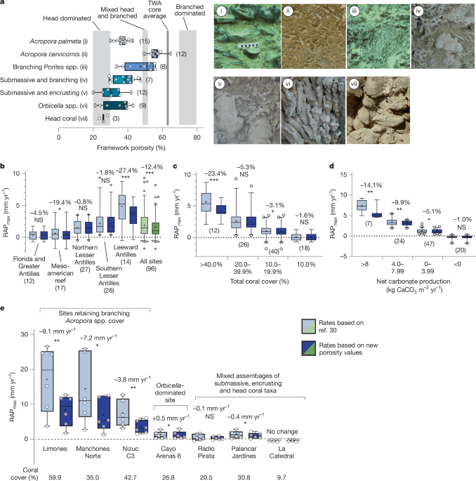 Featured image for Warming Beyond 2°C Hampers Atlantic Reef Growth, Exacerbating Sea-Level Rise