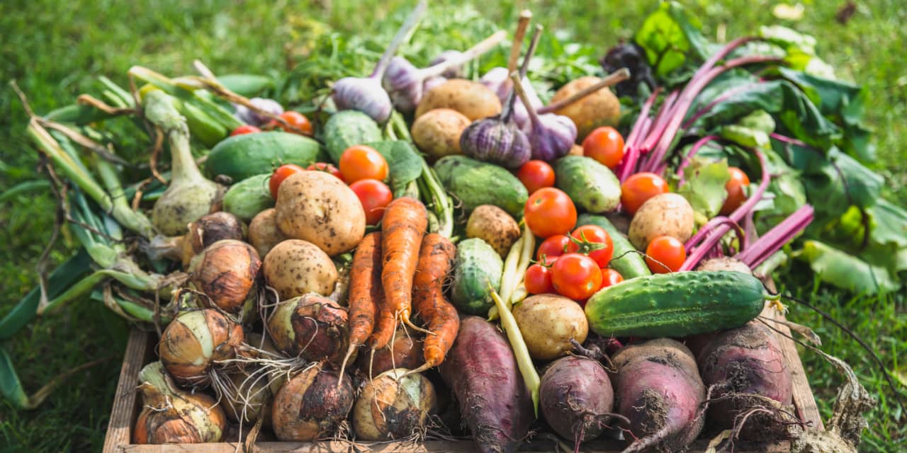 Featured image for Maximize Your Returns: Turning Bond Losses into Profits