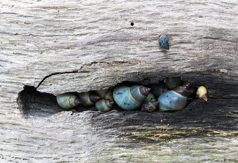 Featured image for "Hidden Gems: Unconventional Articles Worth Reading"