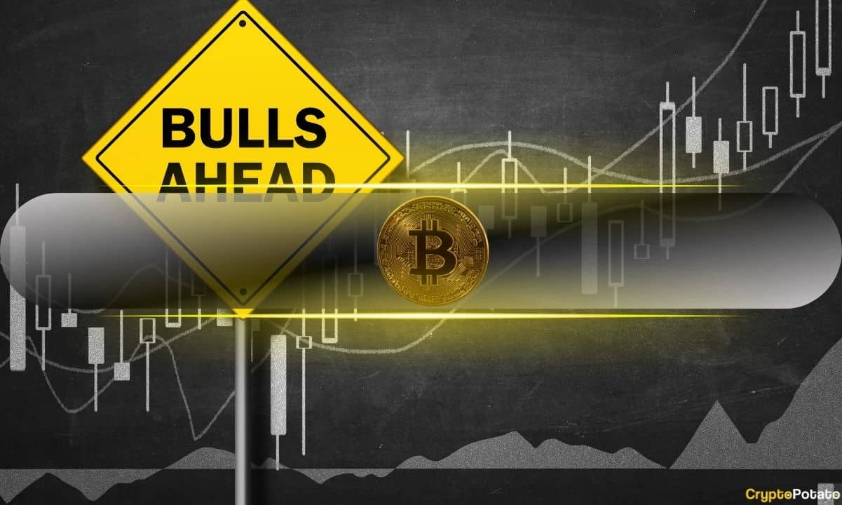 Featured image for "Bitcoin's Bull Cycle Continues Despite 15% Profit-Taking Correction: CryptoQuant Analysis"