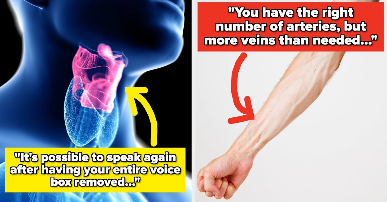 Featured image for Surgeons Reveal Surprising Truths About Ovaries Developing Teeth