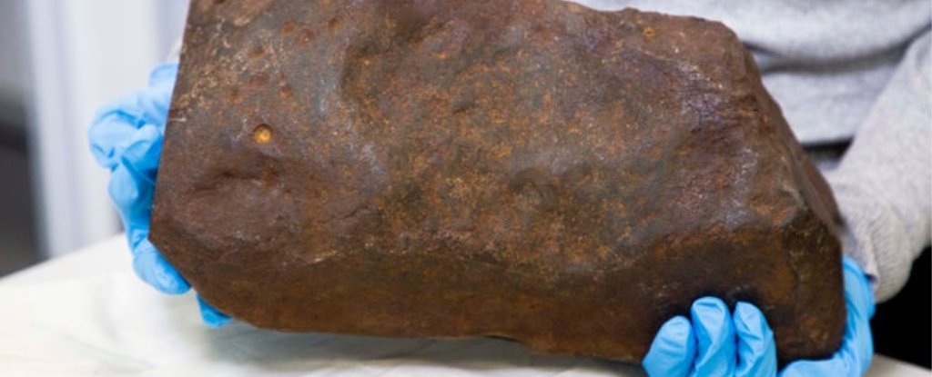 Man's Mistaken Rock Turns Out to Be Priceless Treasure