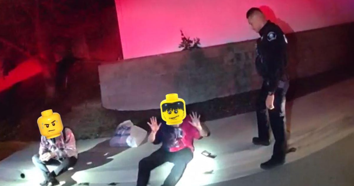 Featured image for Lego Requests Police Stop Using Toy Heads on Mugshots