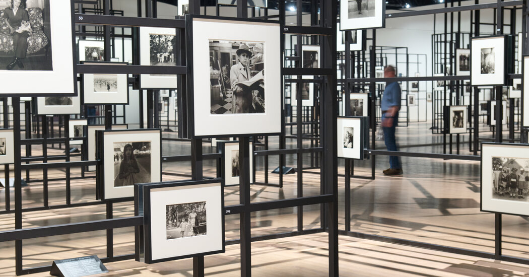 Featured image for Diane Arbus's Unsentimental Lens Illuminates New Retrospective