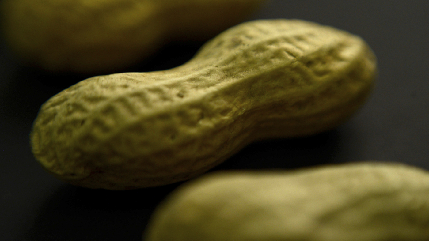 Featured image for "FDA Approves Xolair for Treating Severe Multiple Food Allergies"