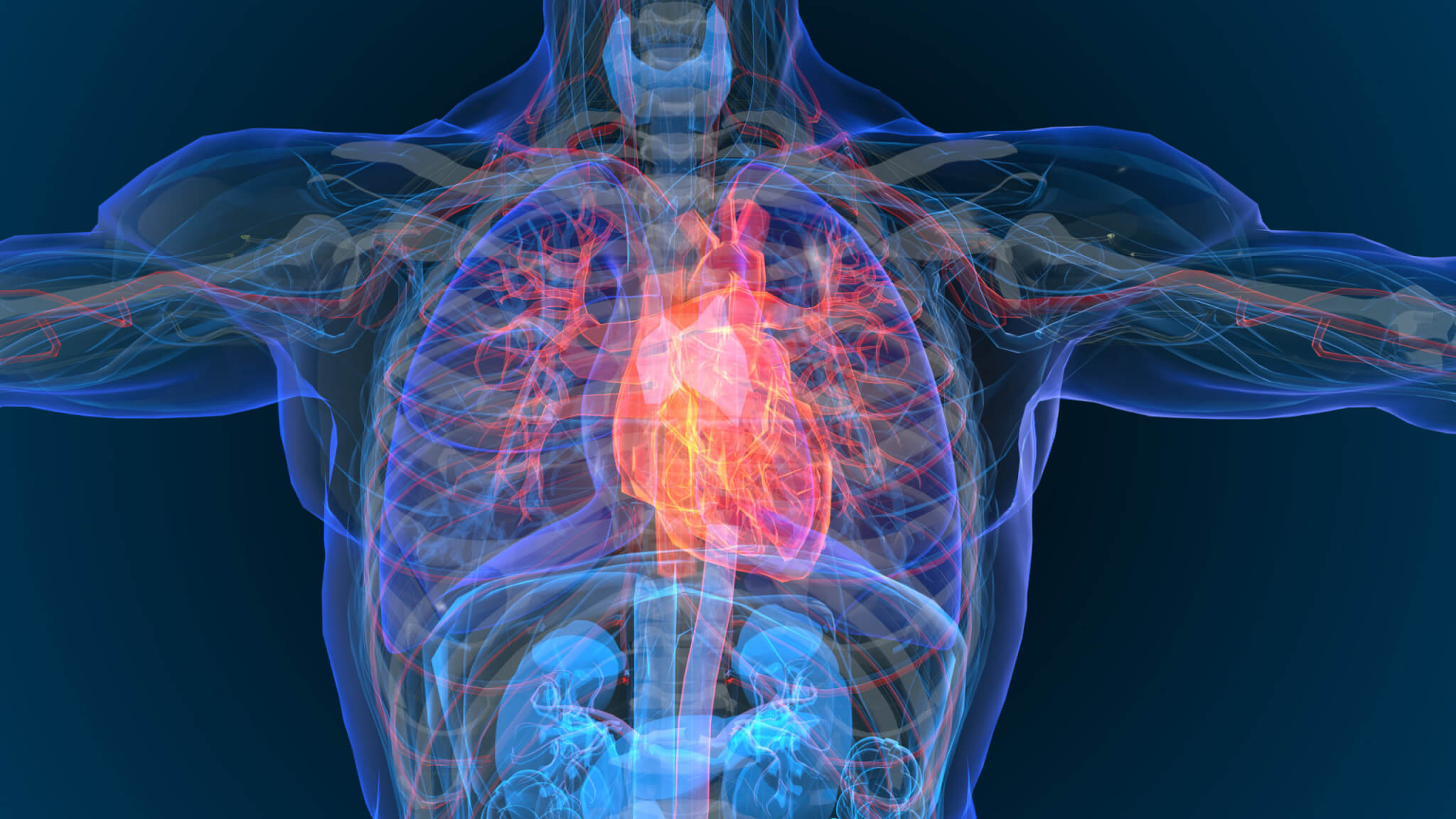 Featured image for Cutting-edge Scans Revolutionize Early Detection of Heart Disease