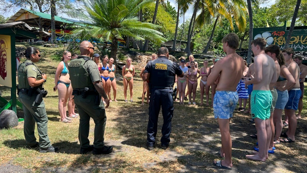 33 Swimmers Under Investigation for Harassing Dolphins in Hawaii