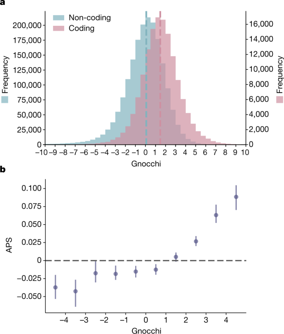 Featured image for Mapping Genomic Mutational Constraints and Disease-Related Variants in Human Genomes