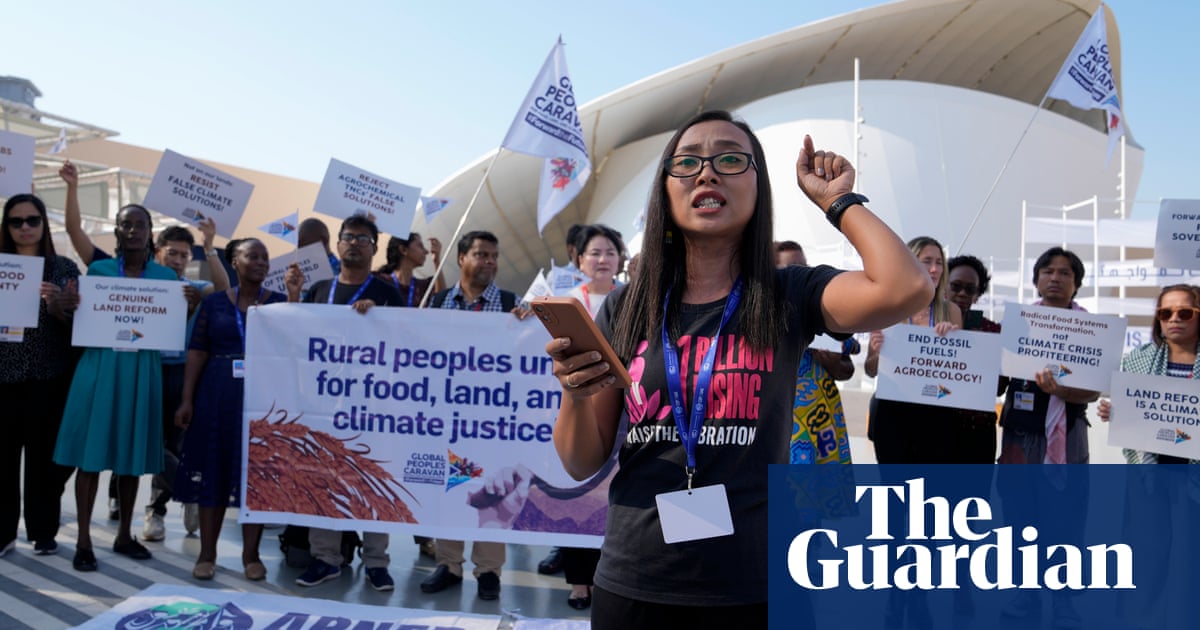 Featured image for COP28: Meat and dairy lobbyists clash with net-zero food plan in climate fight