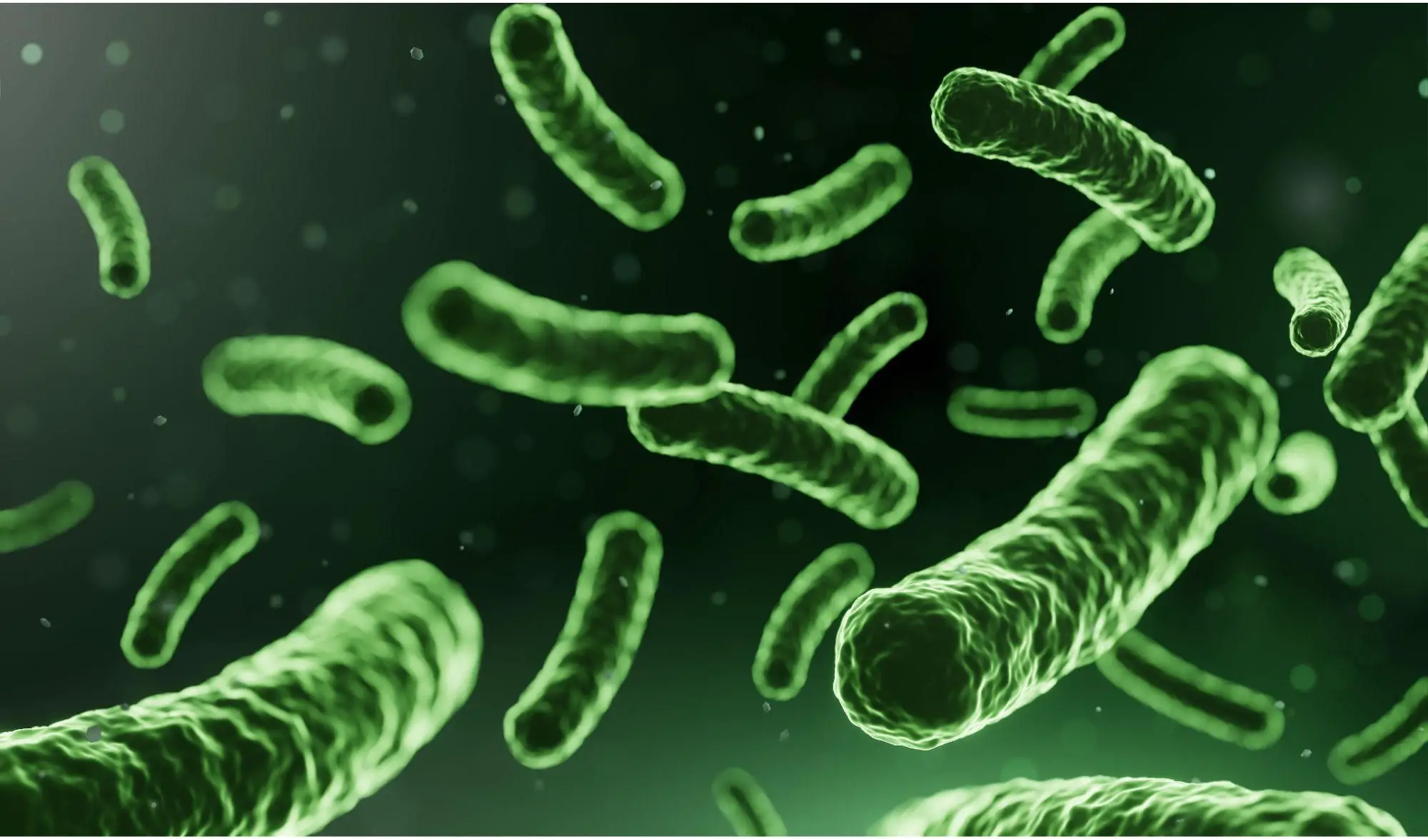 Live Microorganisms in Full-Fat Yogurt Lower Glucose Levels in Prediabetes