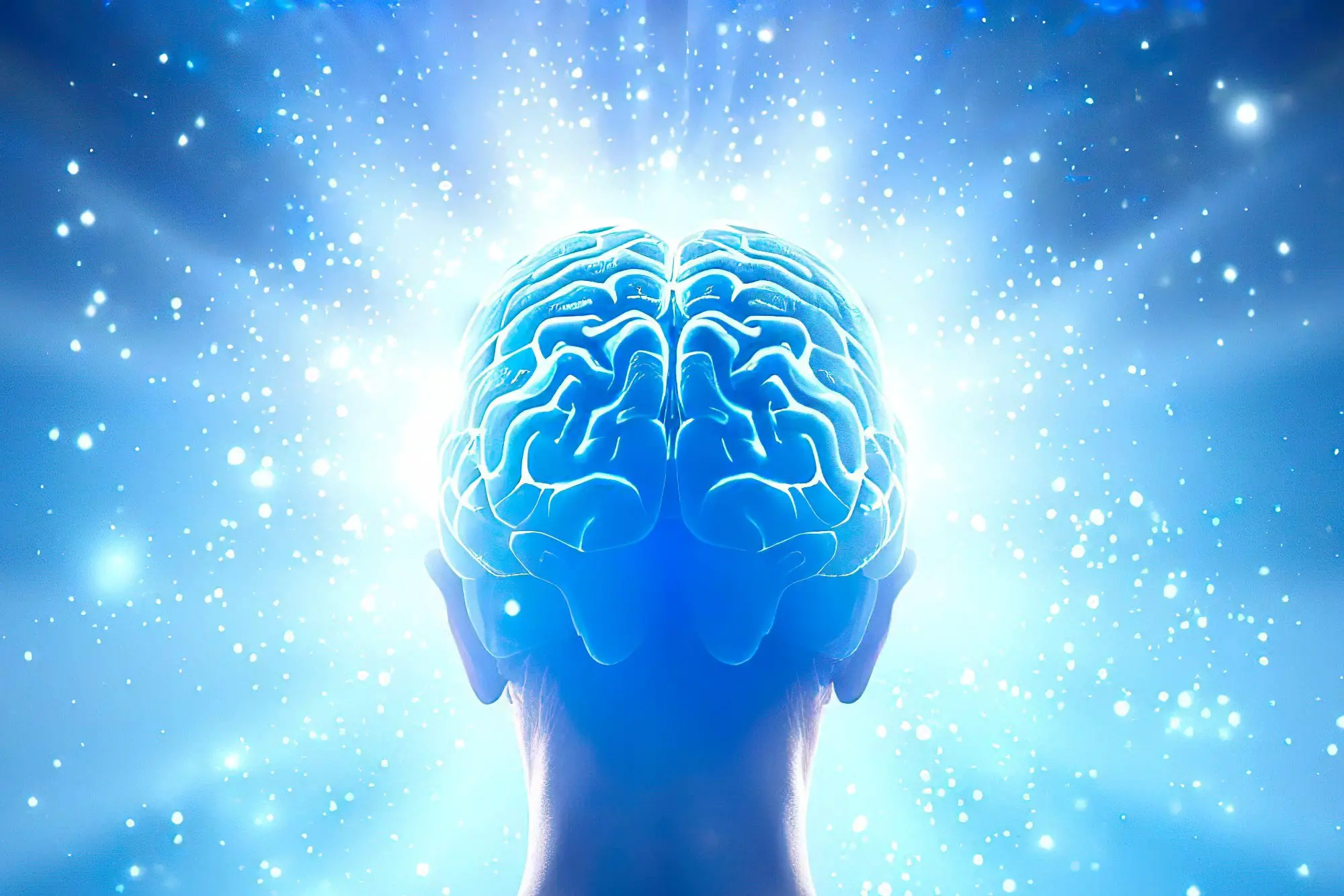 Featured image for The Hidden Functionality of Forgetting in the Brain