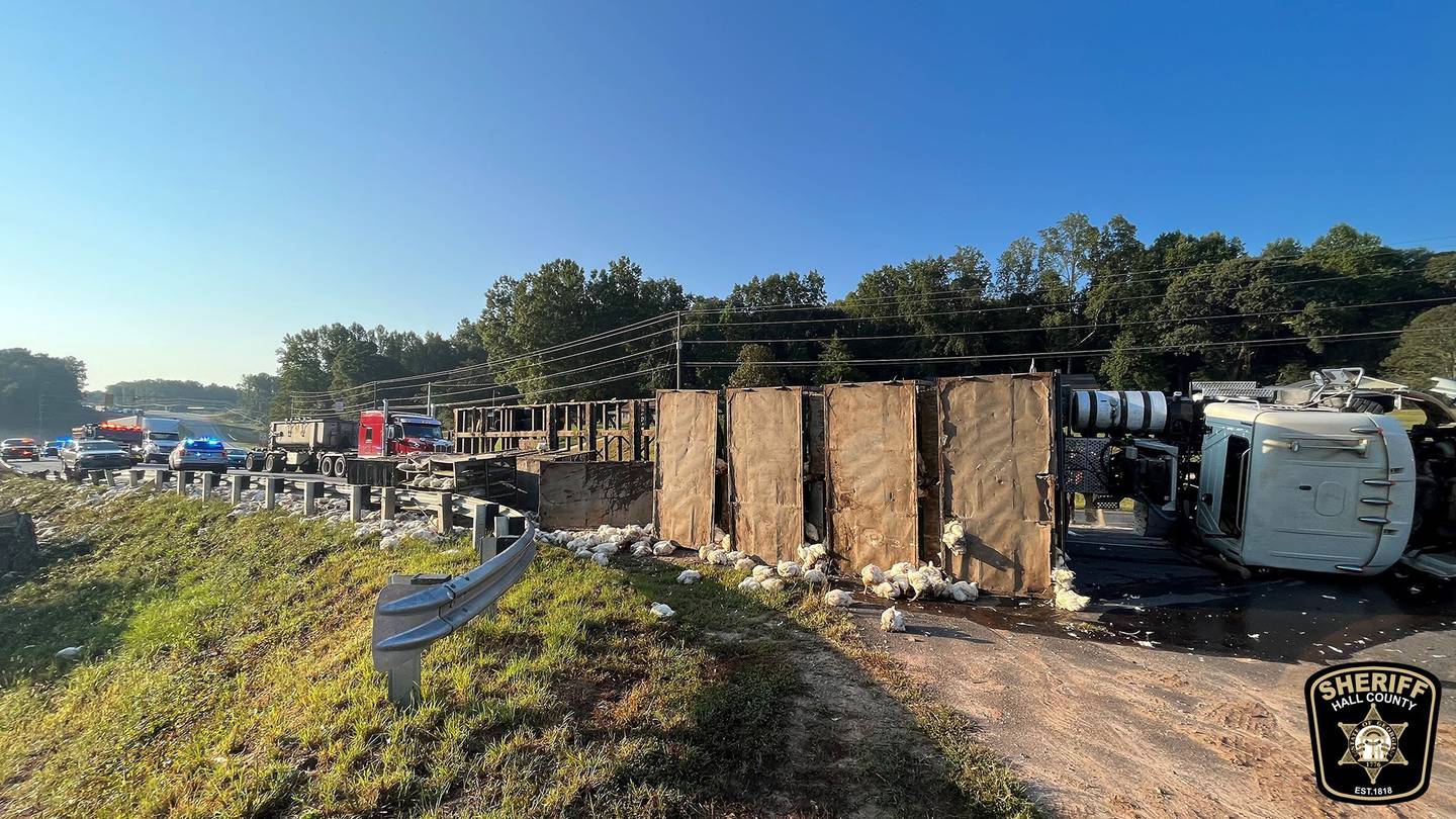 Featured image for Chaos on the Highway: Overturned Truck Unleashes Chickens Across Metro Area