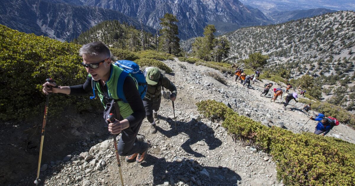Featured image for Hikers' Encounter with Julian Sands: Boots, Bones, and a Familiar Face