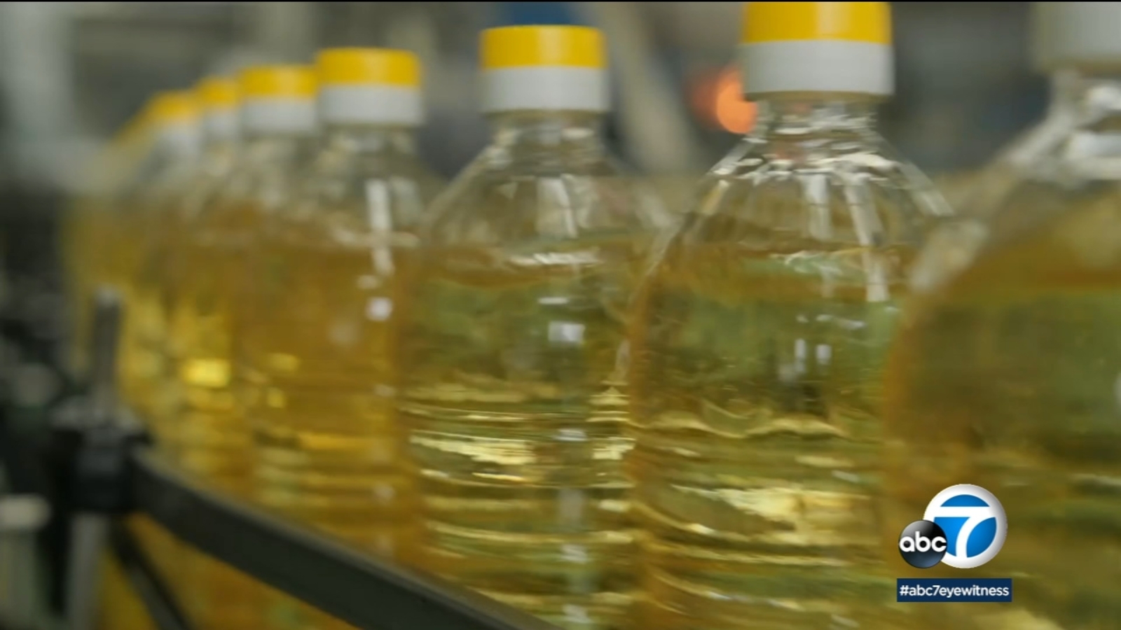 Featured image for The Dangers of Soy Lecithin and Inflamed Colon