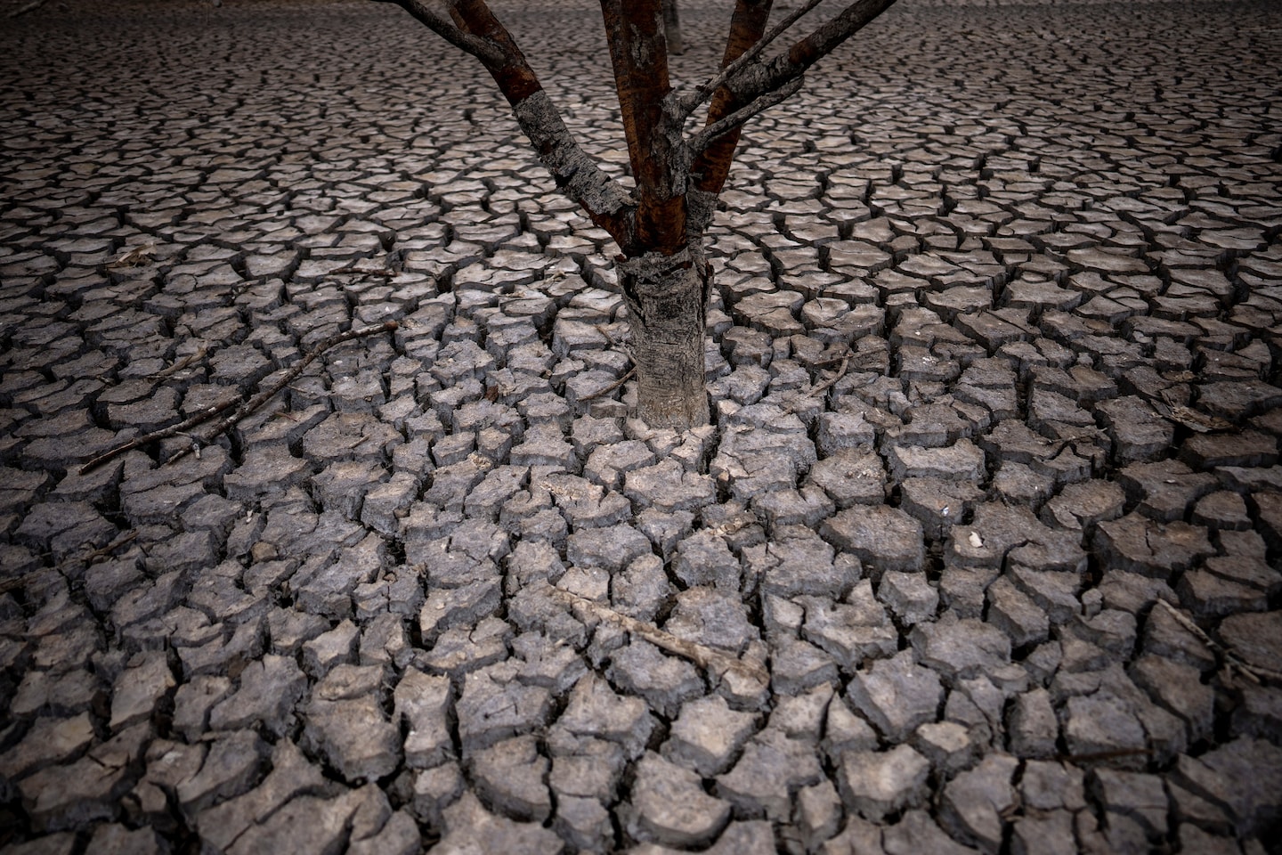 Featured image for Earth in Danger: Humans Breach 7 of 8 Safe Limits for Survival.