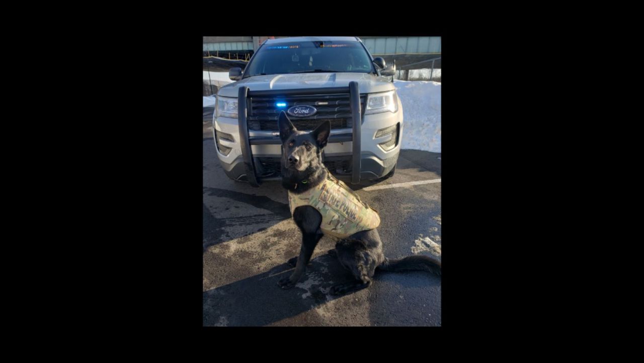 Featured image for "Multiple Injuries and K9 Fatality in Connecticut Officer-Involved Shooting"