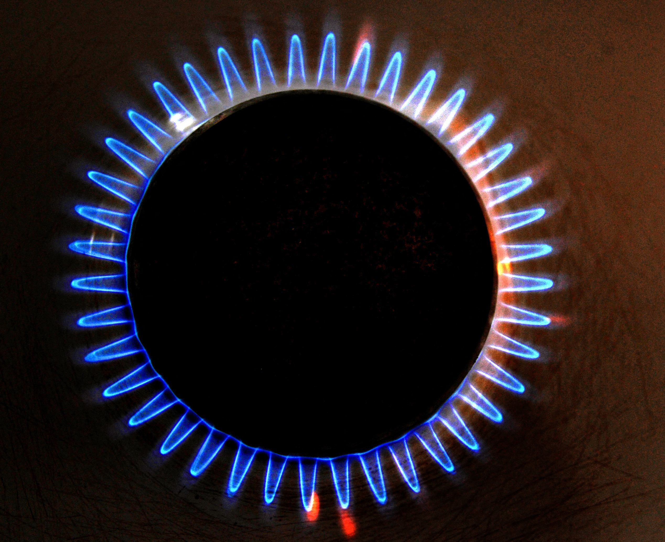 Featured image for "Biden Administration Relents on Gas Stove Regulations After Public Opposition"